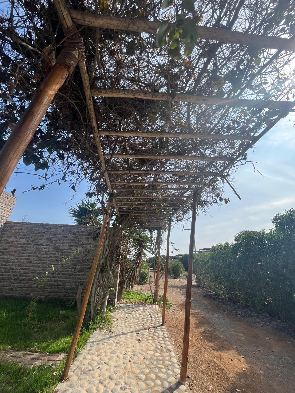 los duraznos acceso